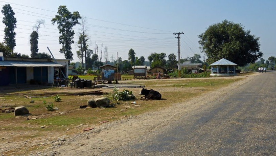 कैलालीको गौरीगंगा नगरपालिका पनि सिल