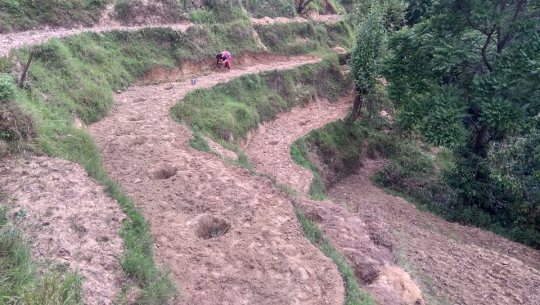 लकडाउनको सदुपयोग गर्दै डडेल्धुराका पत्रकार भण्डारीले सुरु गरे फलफुल खेती