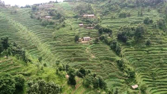 बैतडीमा वडाअध्यक्षको मनोमानीका कारण ७० घरधुरी खोलाको पानी खान बाध्य