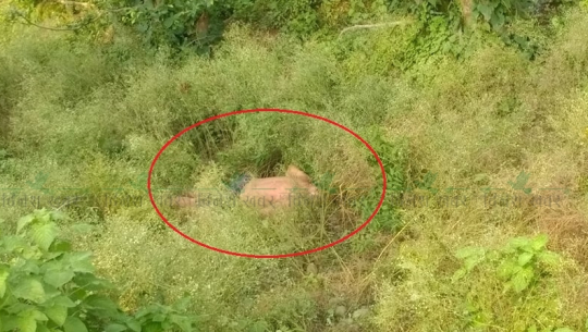 कैलालीमा क्वारेन्टिनबाट भागेका व्यक्ति मृत फेला