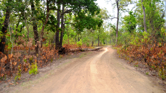 फोटोः अविनाश चौधरी