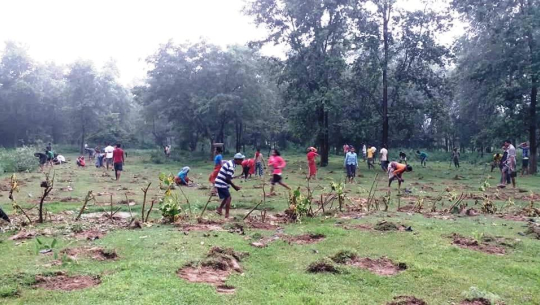 कैलालीको गौरीगंगामा महालक्ष्मी युवा क्लबद्वारा वृक्षारोपण