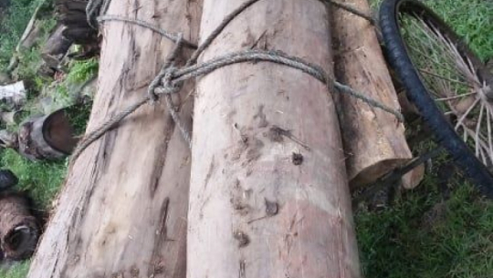 A cart full of Sal wood recovered in Dhangadhi