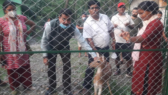 धनगढीमा घाईते तथा टुहुरा वन्य जन्तु आरक्षण केन्द्र स्थापना