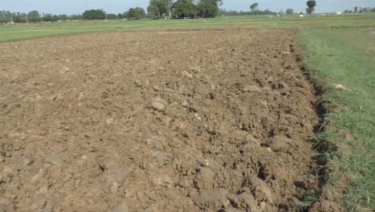 फाइल फोटो