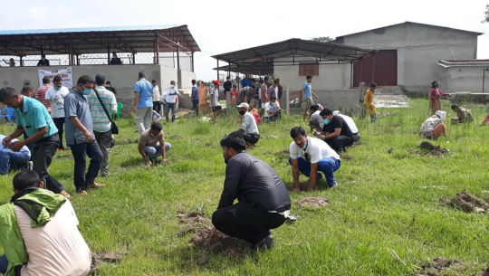 पुष्पलाल श्रेष्ठ स्मृति दिवसको अवसरमा धनगढीमा वृक्षारोपण