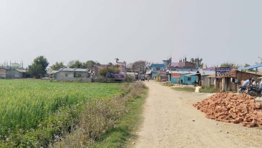 रोजगारी सिर्जना गर्ने उम्मेदवारलाई मात्रै भोट दिने कैलालीका बादी समुदायको घोषणा 