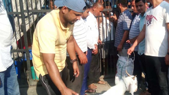 फाइल फोटो