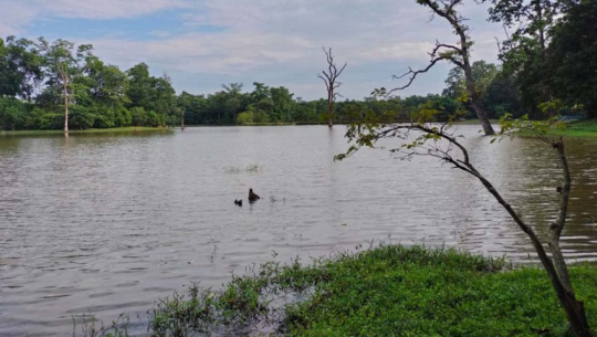 Contractors fail to pay Bhajani Municipality Rs 5.5 crore from lake and pond contracts