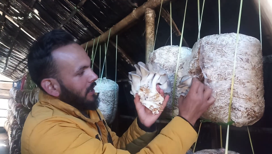 च्याउ खेतीबाट वार्षिक २५ लाख आम्दानी गर्दै खेमराज