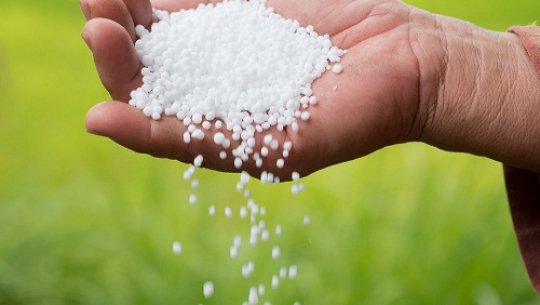 फाइल फोटो 