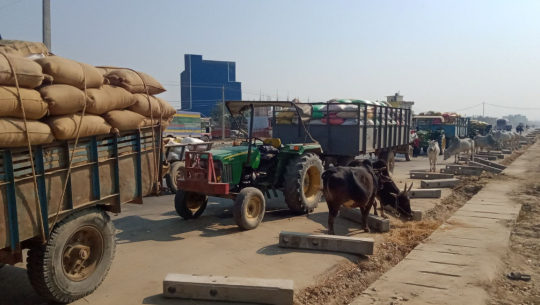 कैलालीमा बोरा र गोदाम अभाव देखाउँदै रोक्यो धान खरिद, किसानको ४ दिनदेखि गोदाममै बास