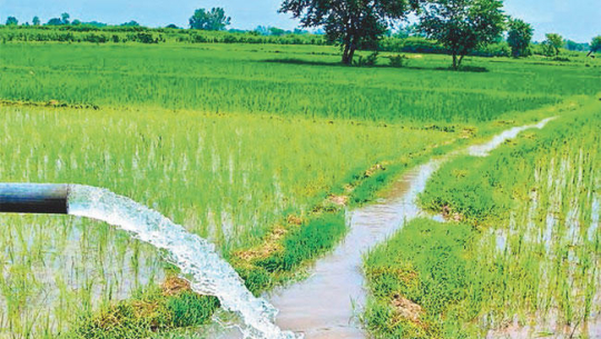 फाइल फोटो 