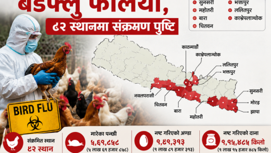 Bird flu outbreak spreads to 11 districts, confirmed in 82 locations across the country