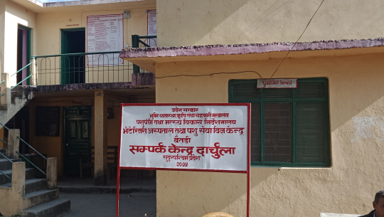 दार्चुलाका स्थानीय तहमा बाख्रामोडल फर्मको स्थापना गरिने