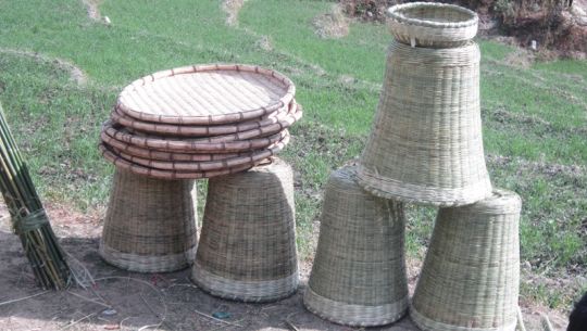 फाइल फोटो