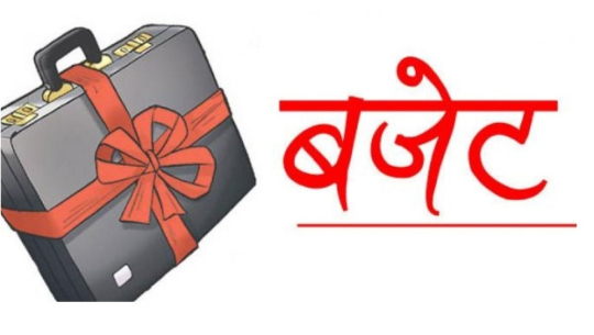 २०७ स्थानीय तहले ल्याउनै सकेनन् चालु आवको बजेट