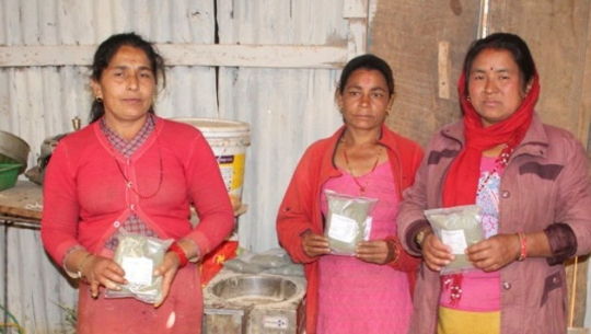 सिस्नुको पाउडर बजारीकरणमा महिला सक्रिय