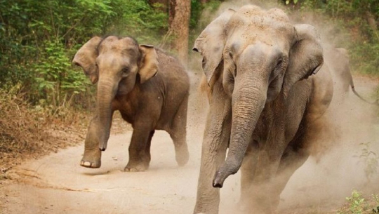 फाइल फोटो