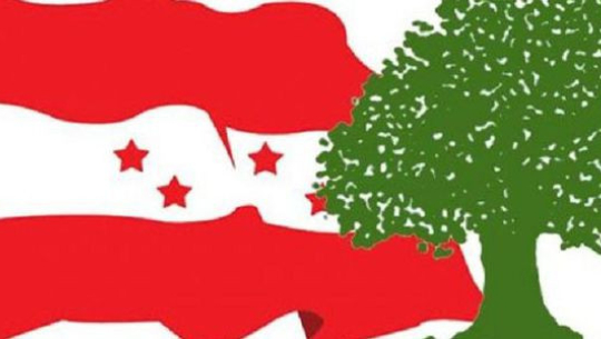 बझाङको बुङ्गलमा कांग्रेसका धामी, उपमेयरमा समाजवादीका बोहरा