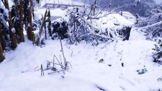हिमपातका कारण बाजुराको हिमाली क्षेत्रमा सञ्चार विच्छेद