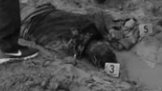 फाइल फोटो