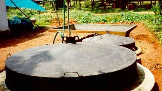 फाइल फोटो