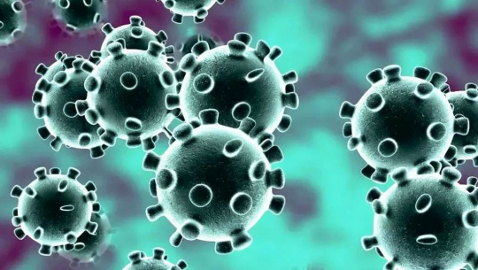 ६ हजार परीक्षण गर्दा ४४० मा सङ्क्रमण