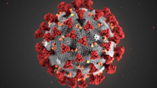 Coronavirus infection declines, nearly 6,000 get rid of infection on Saturday alone