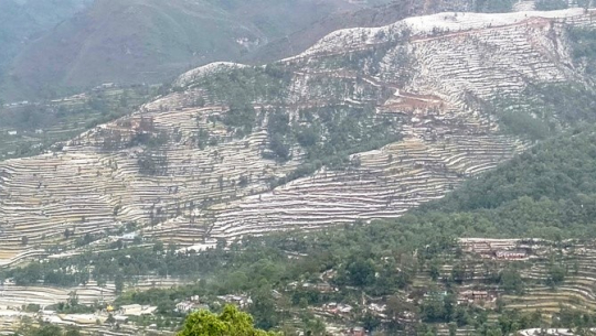 बैतडीमा असिनाले गहुँबालीमा क्षति, भोकमरीको चिन्ता