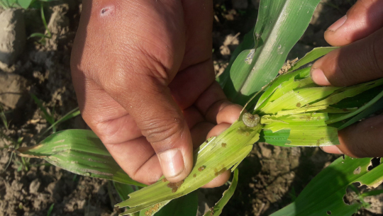 फाइल फोटो 