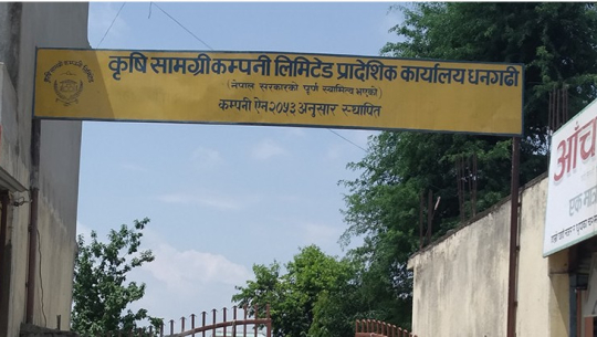 सुदूरपश्चिममा बल्ल आइपुग्यो सय मेट्रिक टन युरिया