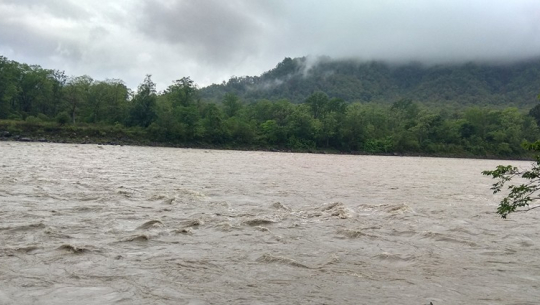 फाइल तस्बिर