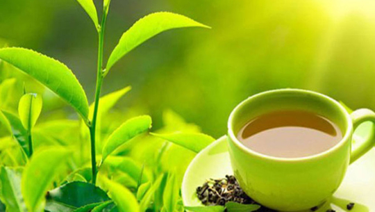 नेपालमै चिनिँदैन अर्थोडक्स चिया
