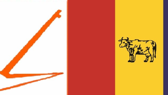 चुनावमा असहयोग गरेको भन्दै राप्रपा बझाङले गर्‍यो ९ जनालाई कारबाही