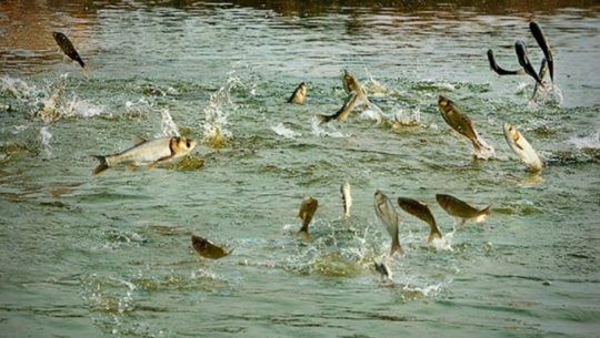 फाइल फोटो 