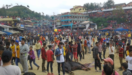 फाईल फोटो