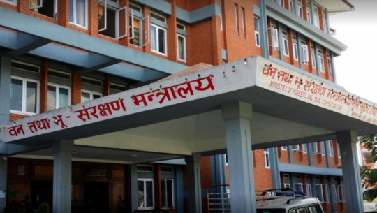 सरकारका तीन वर्ष : वन क्षेत्रबाट १४ अर्ब राजश्व