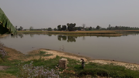 धनगढीमा राष्ट्रिय आवास कम्पनीले २१ वर्षअघि प्राकृतिक ताल व्यक्तिलाई बिक्री गरेको खुल्यो