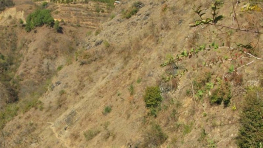 बझाङमा भिरबाट लडेर एक महिला घाइते