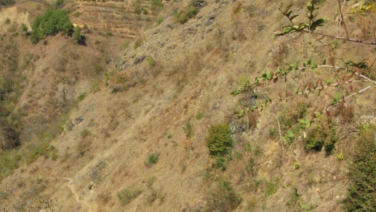 बझाङमा भिरबाट लडेर एक महिला घाइते