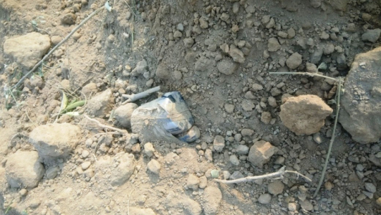 फाइल फोटो 