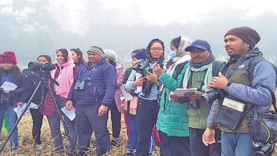 घोडाघोडीमा सूचक प्रजाति गणना सुुरु