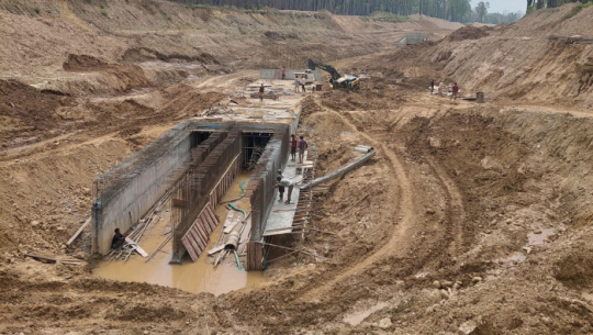 धान दिवसः कञ्चनपुरमा सिँचाइकै लागि सकस