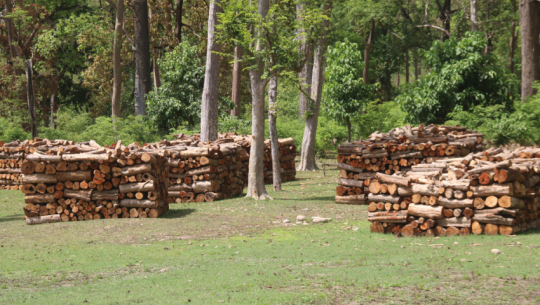 1.62 million cubic feet of wood collected, 21,322 quintals of herbs exported from sudurpaschim province