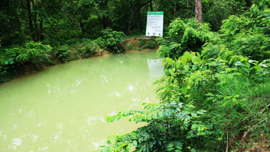 कञ्चनपुरमा सामुदायिक वनभित्र कृत्रिम पोखरी निर्माण