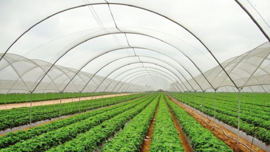 फाइल फोटो 