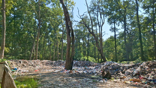कैलालीको गौरीगङ्गाले वन्यजन्तु हिँड्ने मुख्य बाटोमै फोहोर बिसर्जन गर्दै