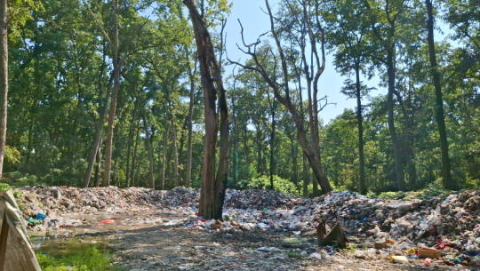 Gauriganga Municipality dumping waste on wildlife corridor in Kailali