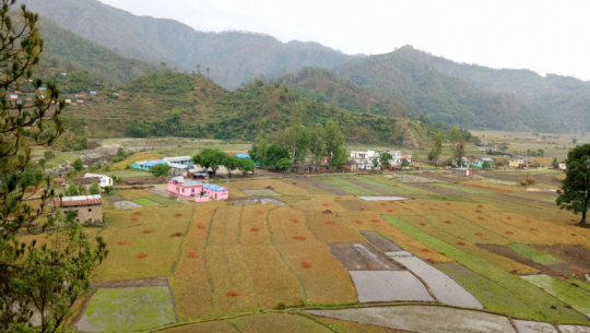 डोटीमा ज्वरो र रुघाखोकीबाट ३२ विद्यार्थी प्रभावित